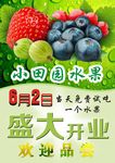 水果宣传单
