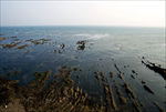 海滩岩石