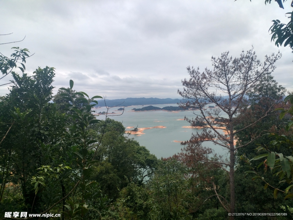 万绿湖风景