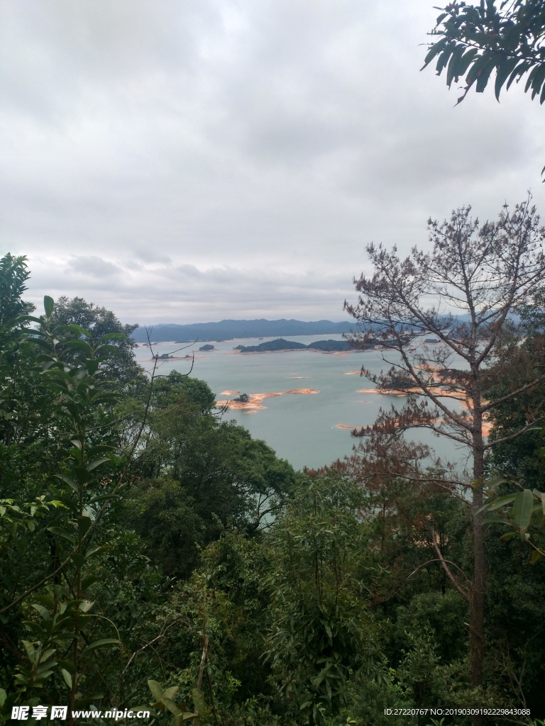 万绿湖风景