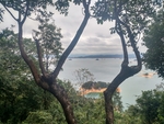 山中看万绿湖
