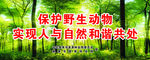保护自然
