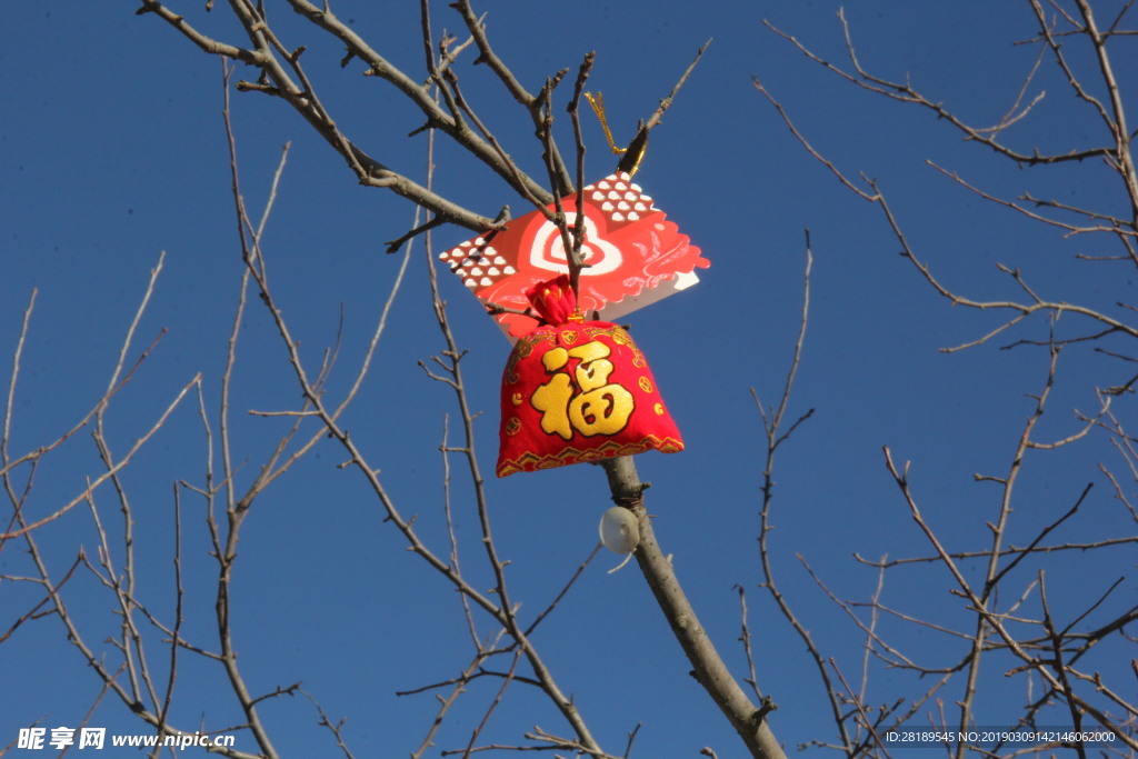 蓝天中的礼物