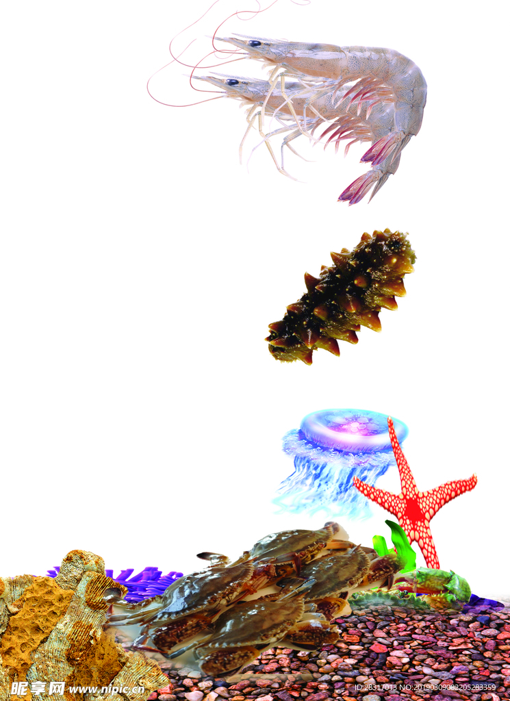 海底鱼前景分