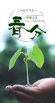 春分手机壁纸 春分海报 春分