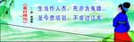 古诗 夏日绝句 李清照
