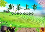 茶叶海报