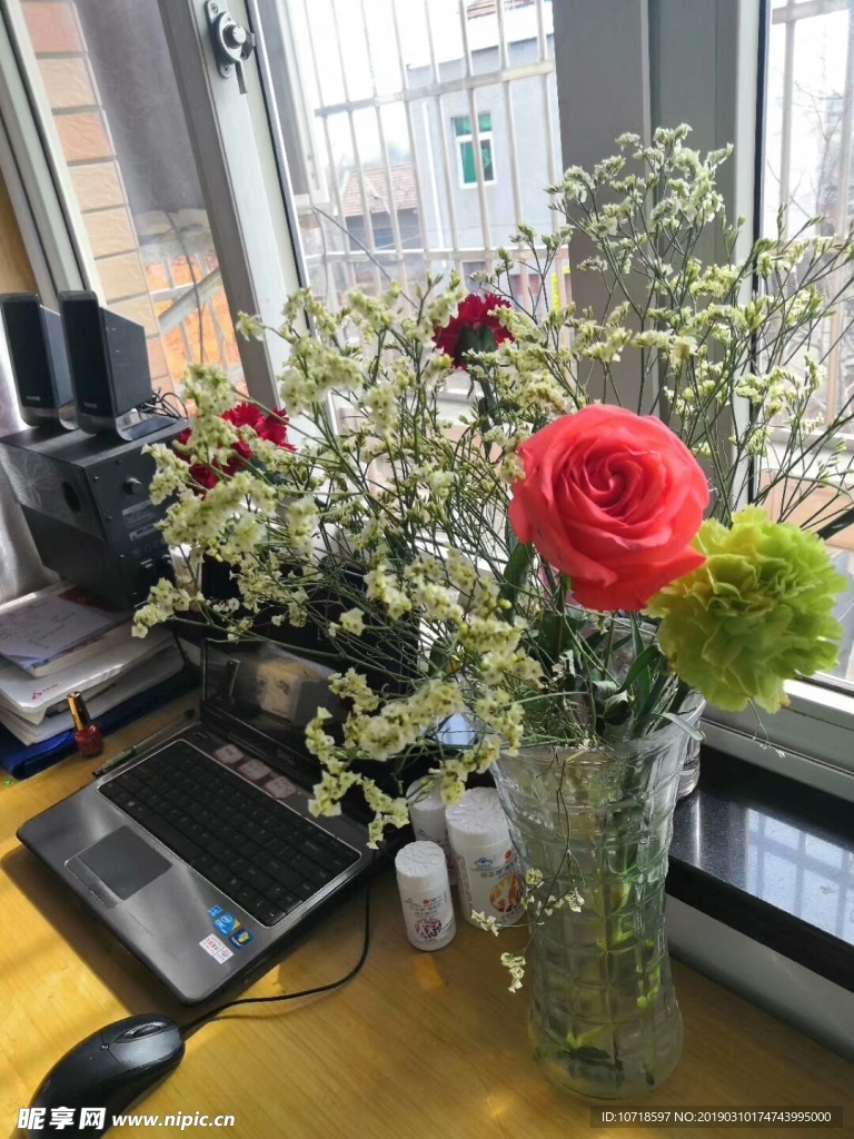 室内鲜花