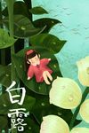 白露