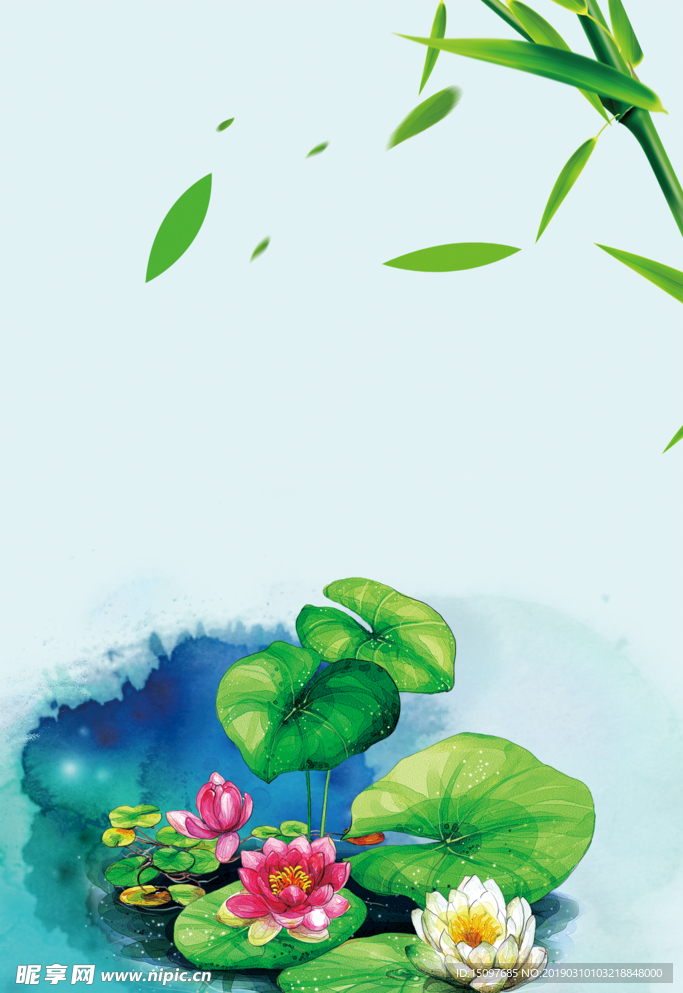 荷花