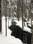 雪山松林溪水