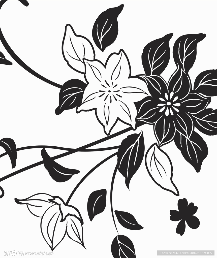 花纹