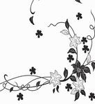 花纹