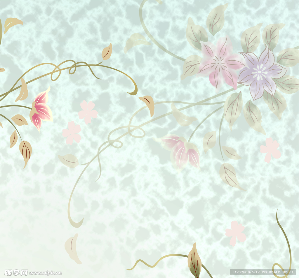 花鸟