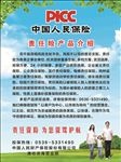 人民保险