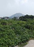 阳山