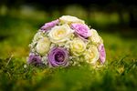 婚礼素材