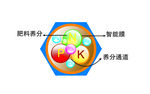 分子图