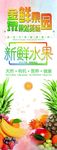 水果  果园  鲜果   苹果