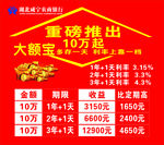 重磅推出大额宝