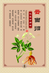 中医文化