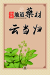 中医文化