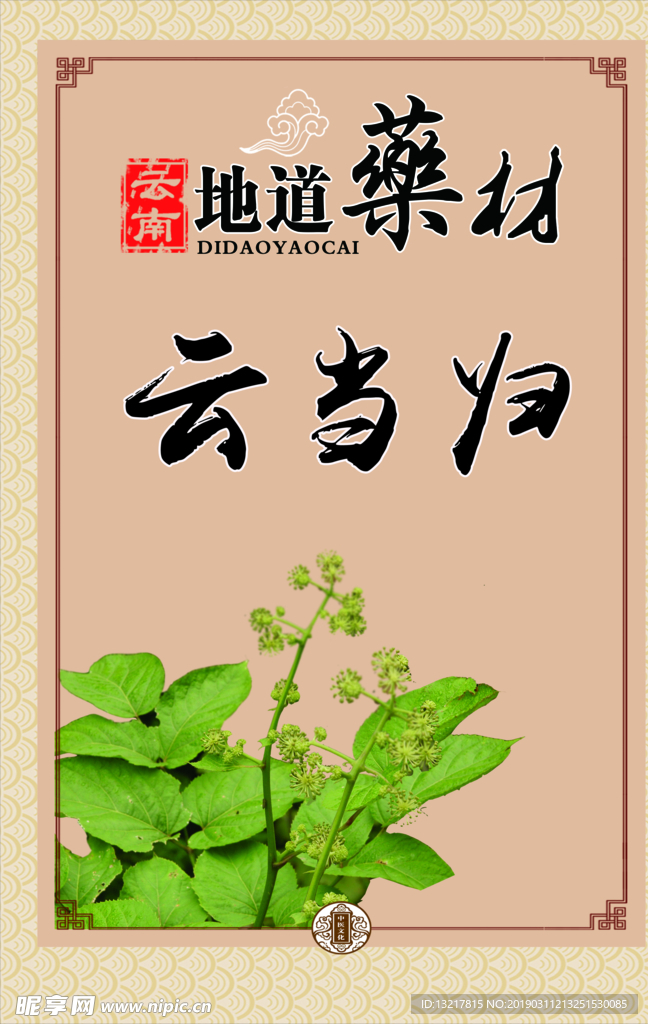 中医文化