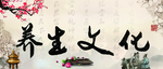 美容养生