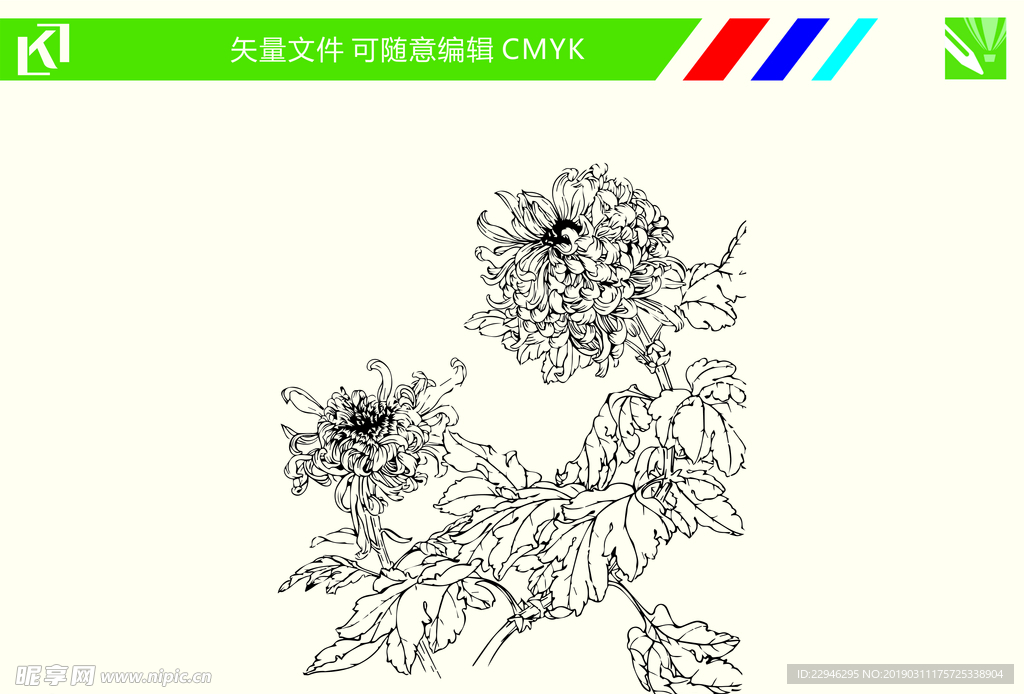 菊花手绘线条图