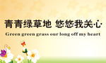 爱护花草