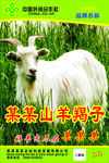 山羊