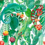 仙人掌二十四