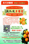 冰糖橙标签