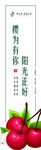 腰条