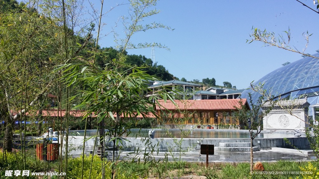 伏羲八卦汤