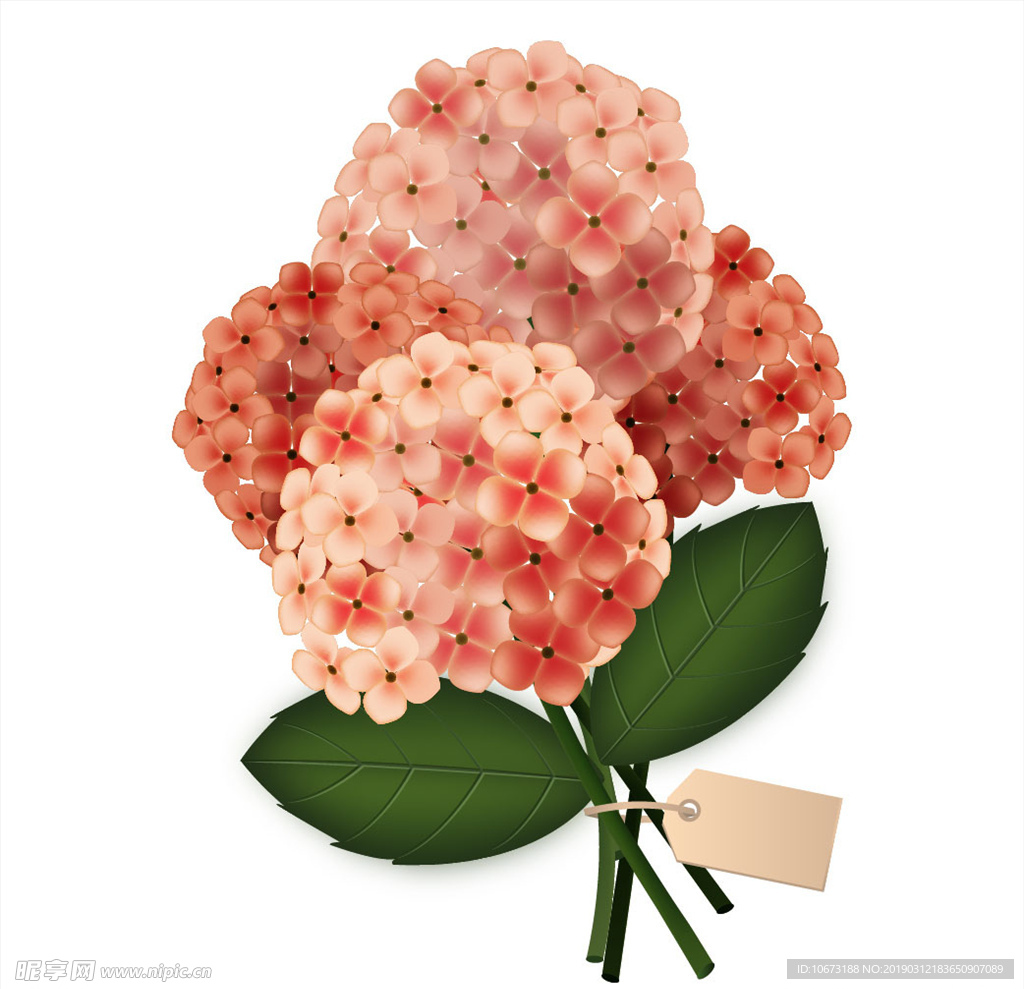 卡通花束