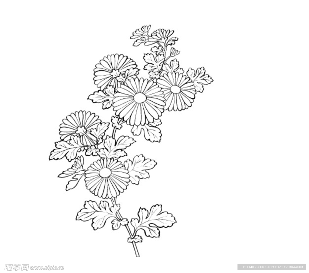 白描画