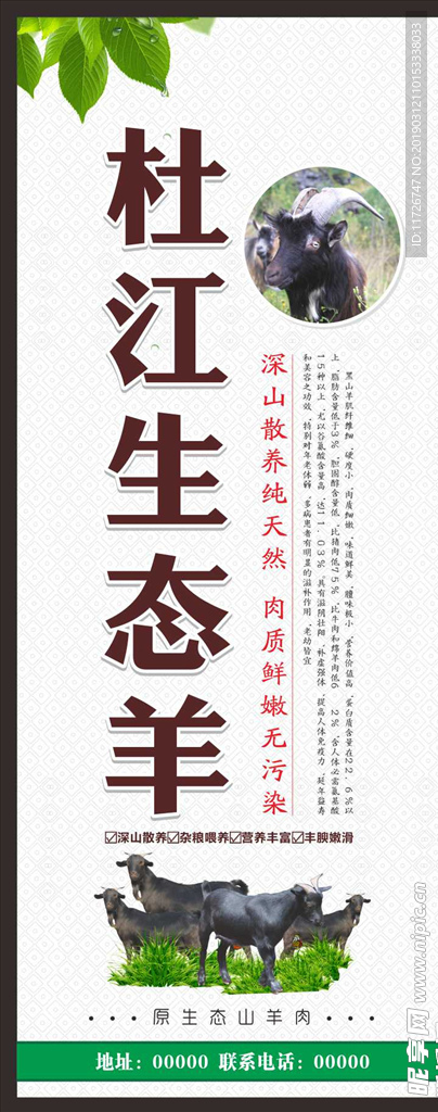生态羊