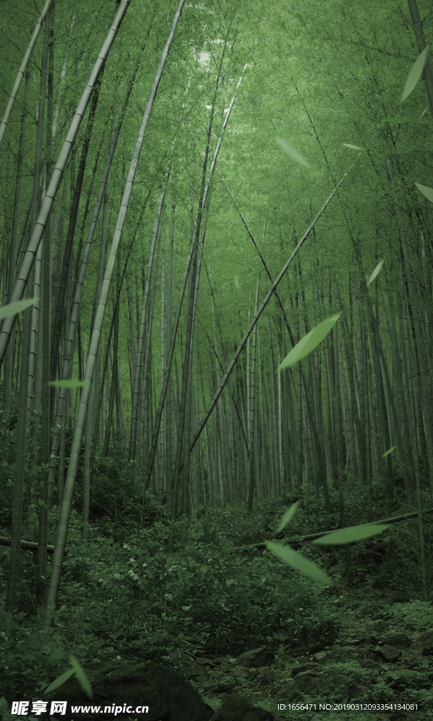 竹林