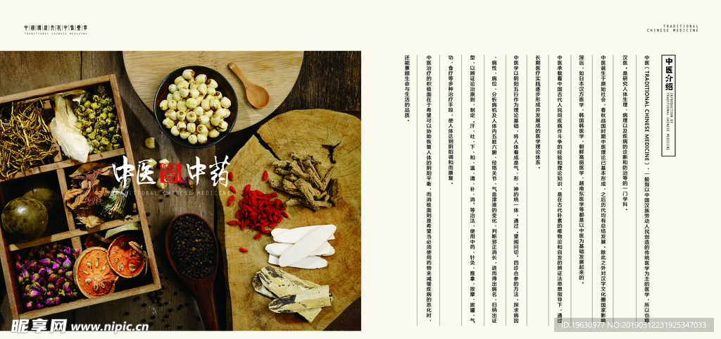 中国风中式中医医药传统文化画册