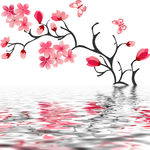花卉