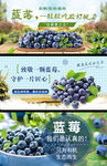 蓝莓banner图
