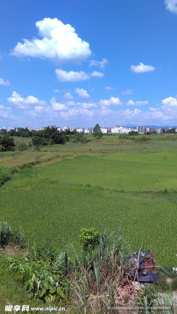 蓝天绿野