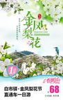 金凤梨花节旅游海报