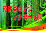 森林消防