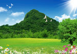 绿色背景