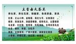 茶叶品类海报