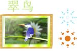 翠鸟相框