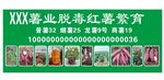 红薯喷绘