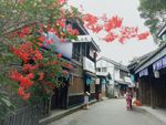 日本街道